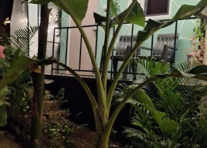 Green Garden Resort