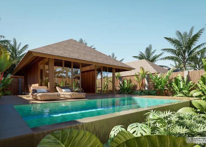 Kappa Senses Zanzibar