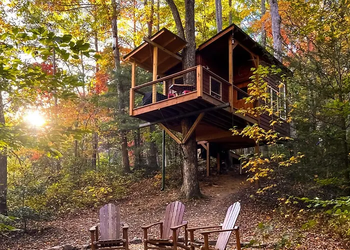 Dreamy Treehouse Getaway Dog Friendlydisc Golf