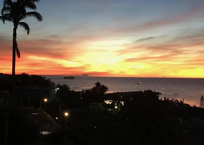 Halcyon Views