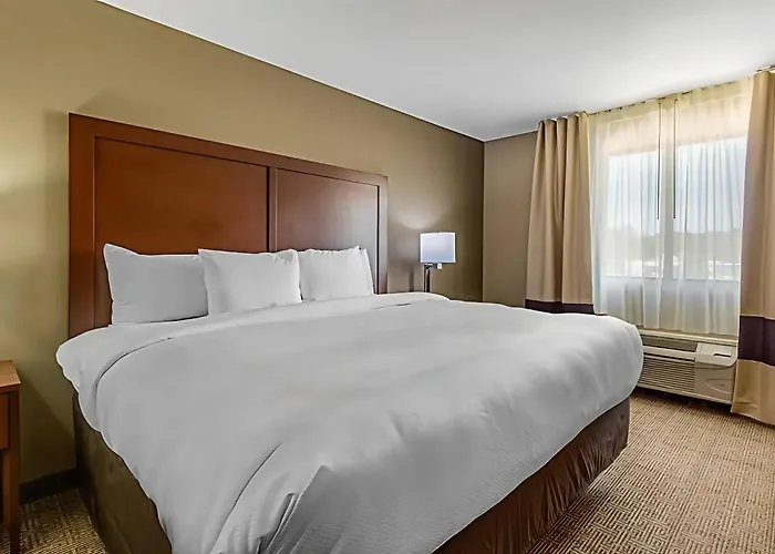 Comfort Inn & Suites Mccomb