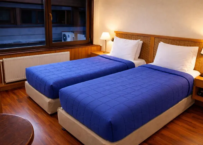 Nobile Suites Vicente Costanera
