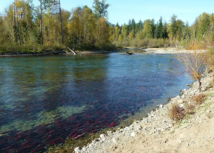 Community At Riggins Hot Springs