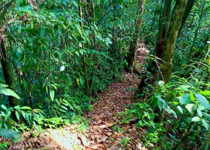 Ingaru Lodge