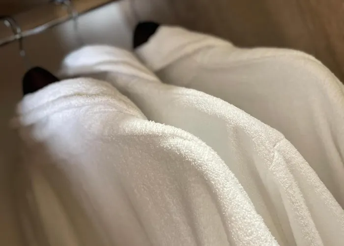 Hotel Olanesti & Spa Medical