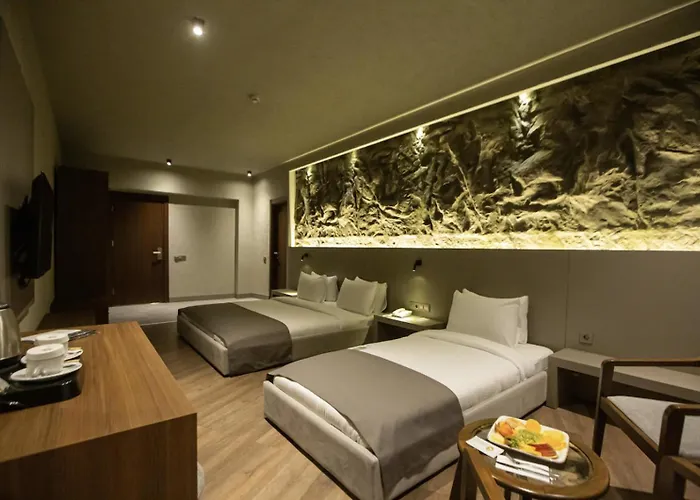 The Erzurum Hotel