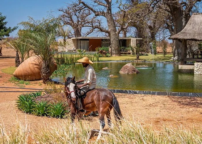 Casa del Toro Luxury Ranch