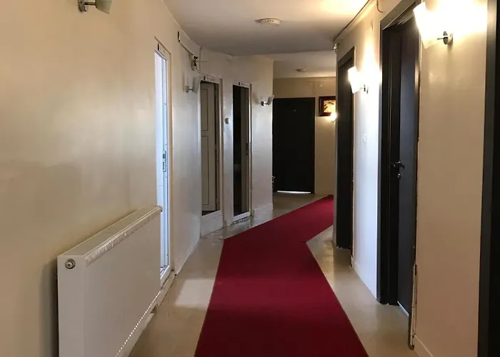 Ari Otel
