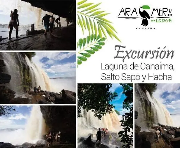 Ara Merú Lodge