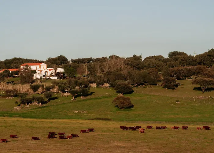 Herdade Dos Moreiros