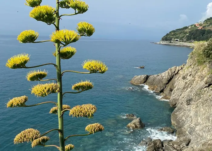 La Finestra Sul Mare - 2 Camere - Vicino Spiaggia