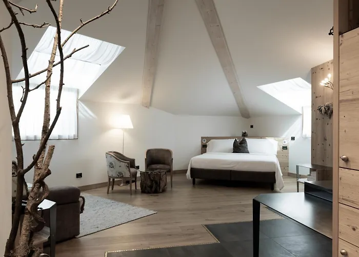 Hotel Orso Grigio