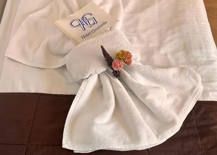 Hotel Granada