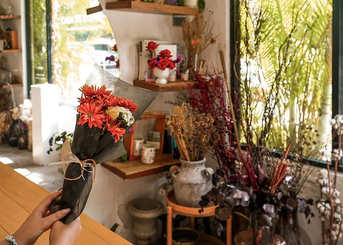 Mezcal Hotel Boutique