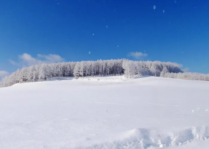 Furano - Hotel / Vacation Stay 35777