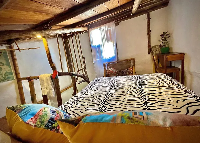 Hotel Casa Tarzan San Agustin