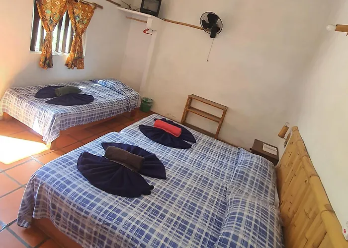 Hostal Nova Colonial