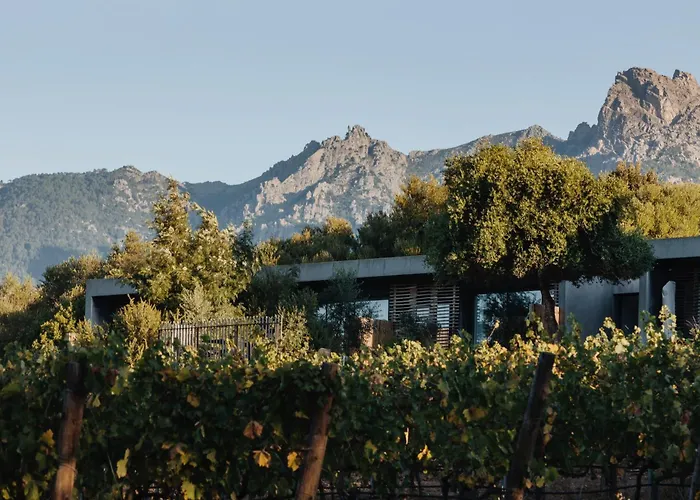 Domaine De Peretti Della Rocca
