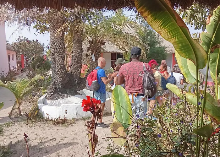 Campement Graine De Paradis