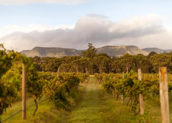 Harrigan'S Hunter Valley