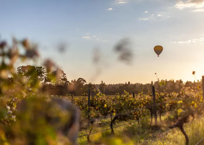 Harrigan'S Hunter Valley