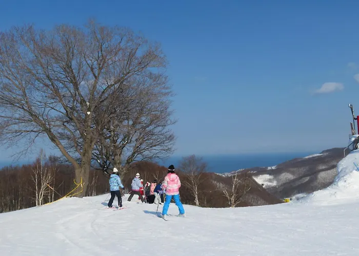 朝里川温泉ホテル