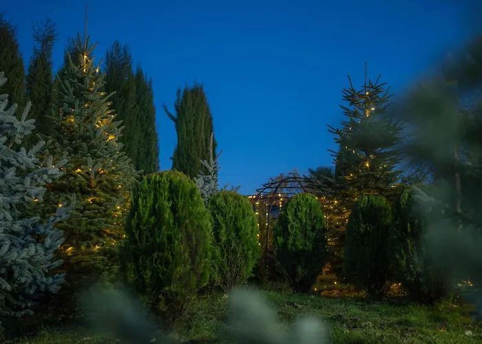 Სასტუმრო Ამელი/Hotel Ameli