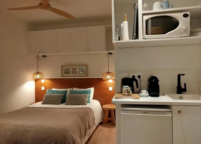 Studio à la VILLA VOLTAIRE