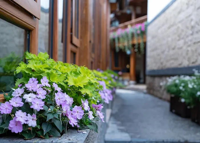 Frida'S Inn 佰茂中式庭院花园美宿