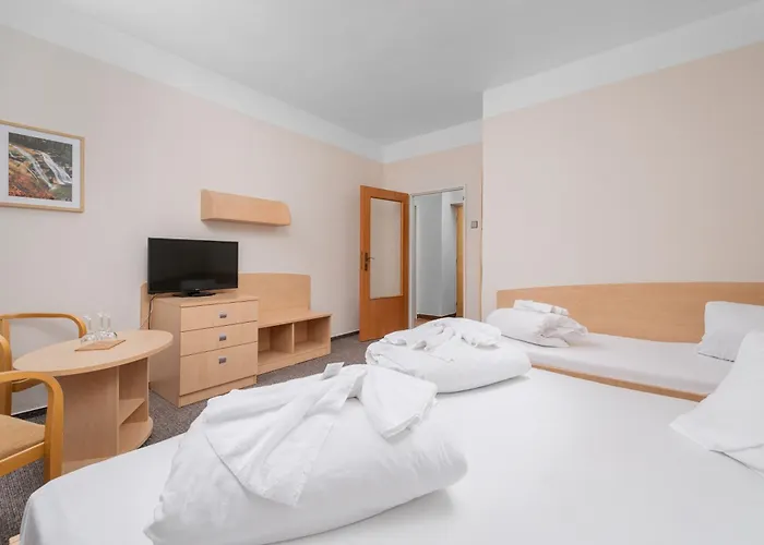 Horsky Hotel Jelinek