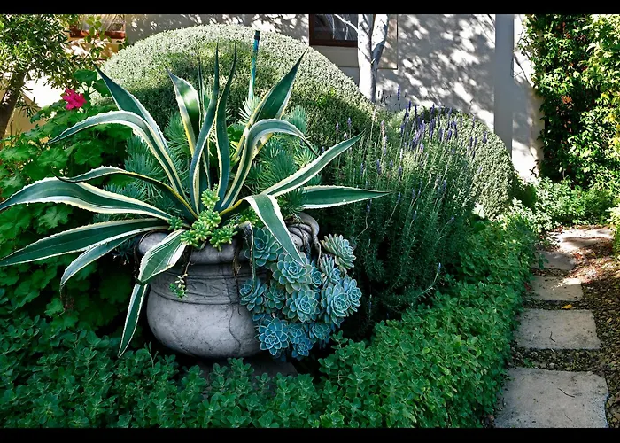 Petit Plaisir Cottage Franschhoek