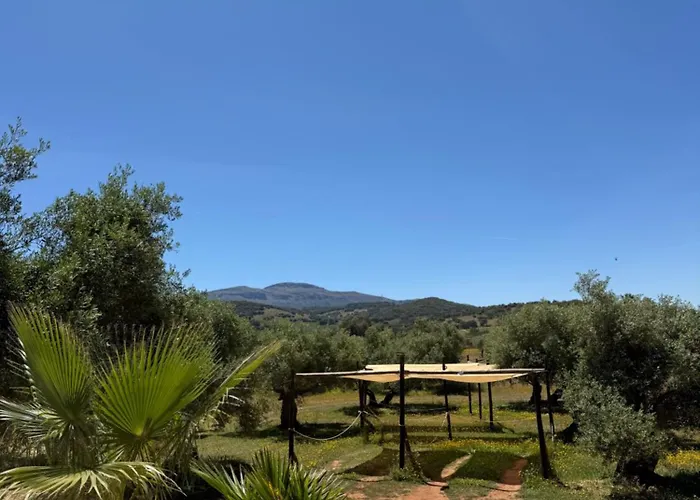 La Guzmana De Ronda