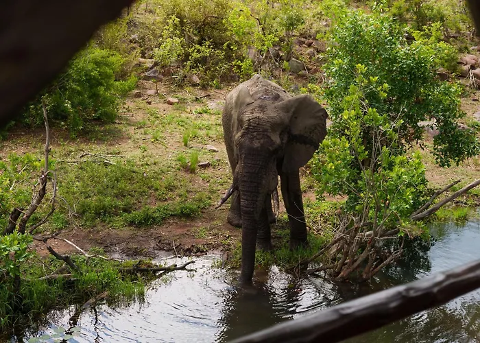 Ndlovu Safari Lodge