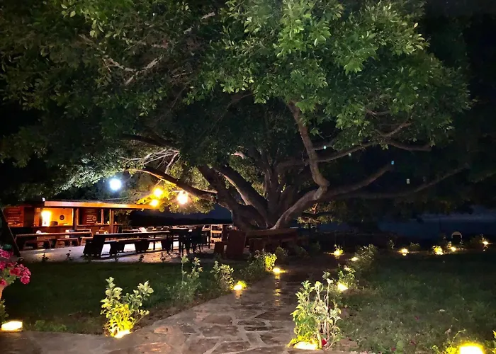 Marvel Tree Hotel