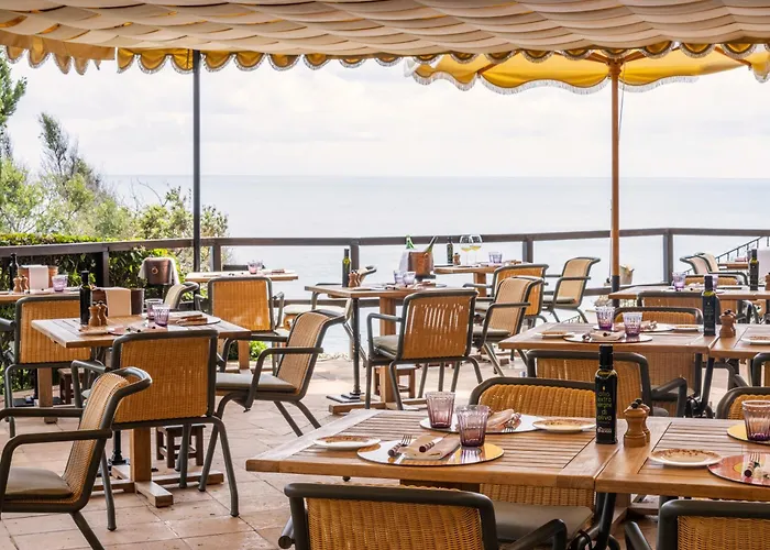 Il Pellicano