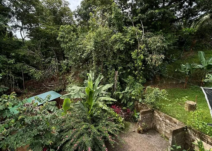 Ceiba Lodge