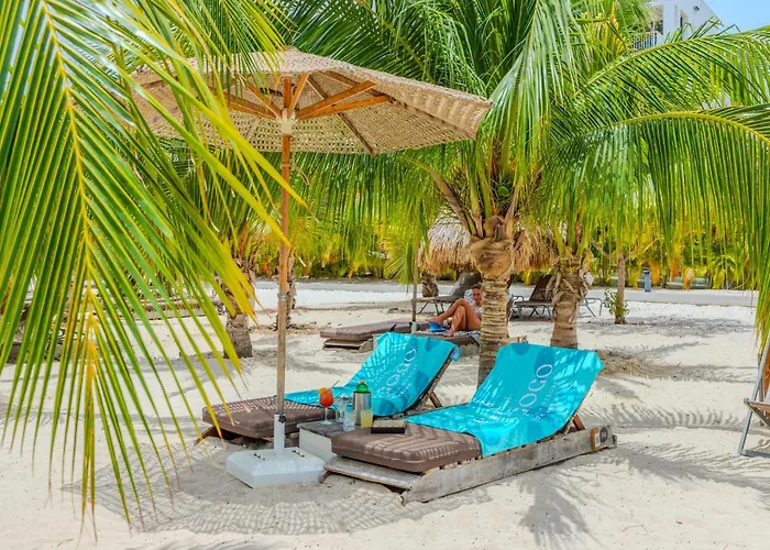Chogogo Dive & Beach Resort Bonaire