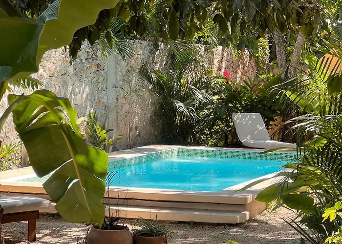 Shamalay - Nomad Experience