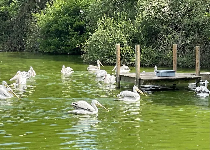 Suite Touraco, balnéo, terrasse - Parc des Oiseaux