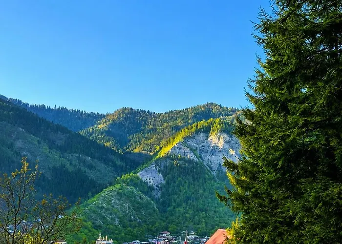 Hotel Forest Echo