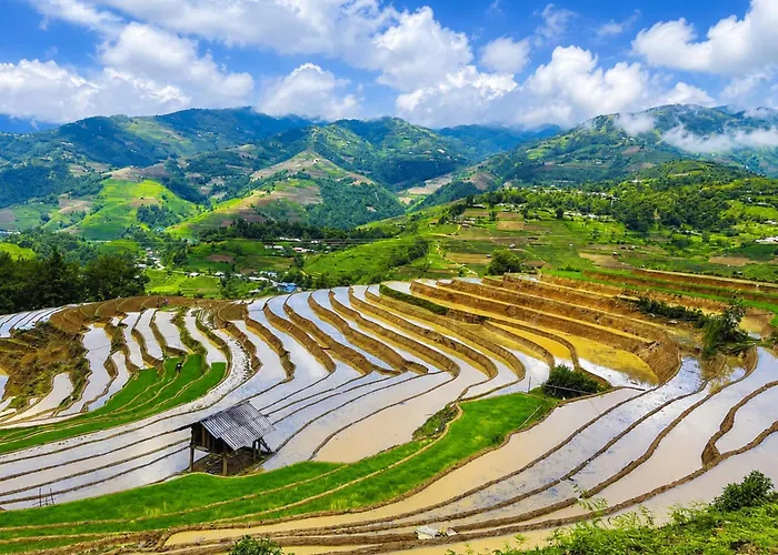 Mua Vang Homestay Mu Cang Chai