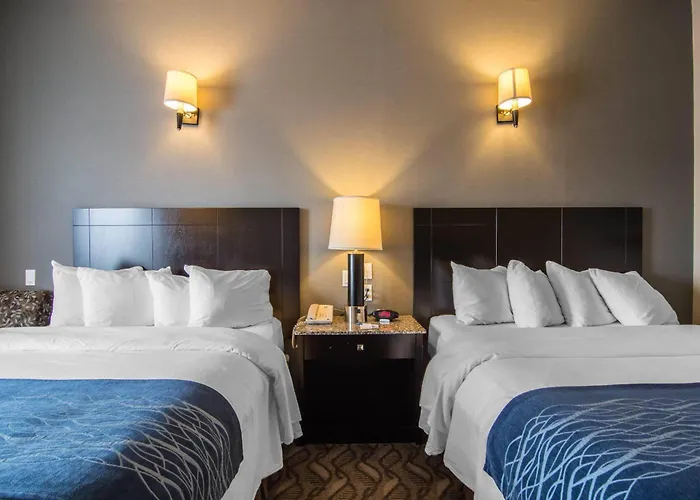 Comfort Inn & Suites Fort Saskatchewan
