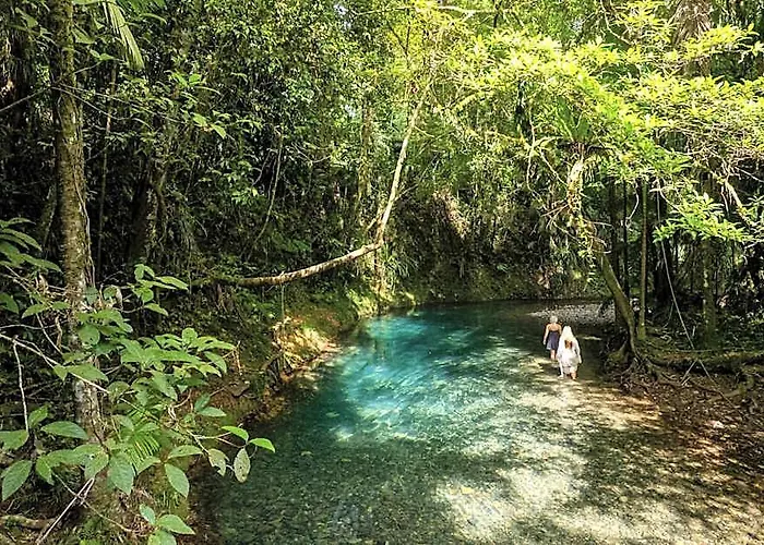Heritage Lodge - In The Daintree