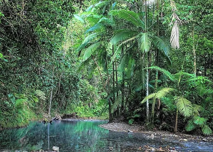 Heritage Lodge - In The Daintree