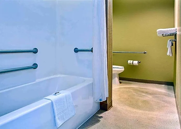 Microtel Inn & Suites By Wyndham Mason