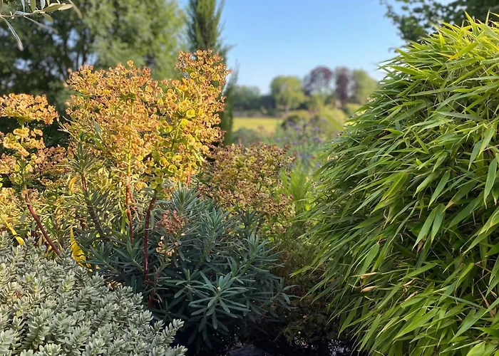Les sapins verts - vue haras