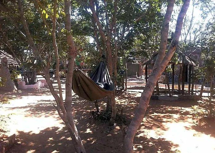 Bananyana Backpackers