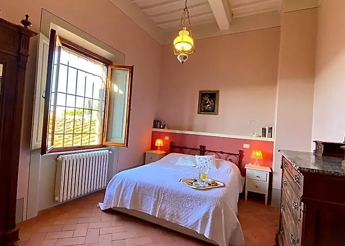 A Path Of Relaxation And History Between Vineyards And Olive Trees