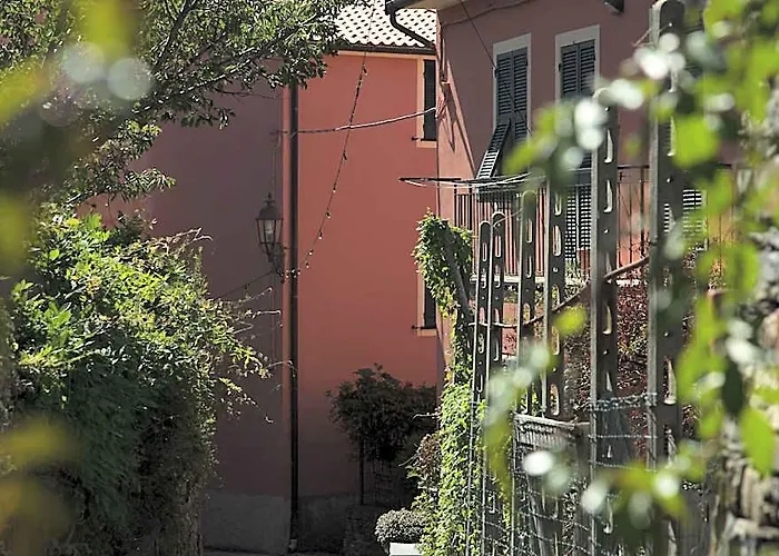 Nonna Maria, Tra Mare E Ulivi