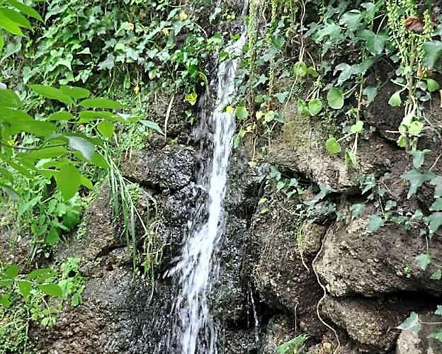 Paradise Is Real At Vale Martinho Zen